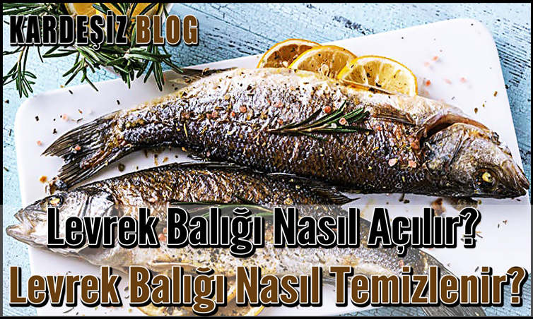 Levrek Balığı Nasıl Açılır