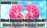 Böbrek Büyümesi Belirtileri Nelerdir