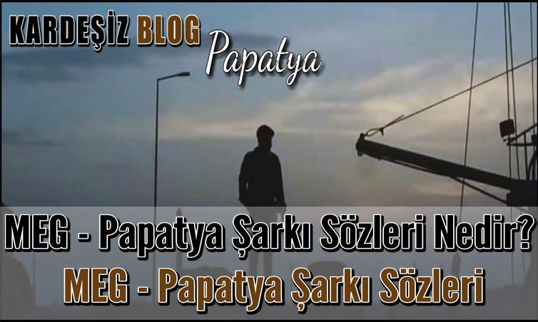 MEG Papatya Şarkı Sözleri Nedir