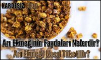 Arı Ekmeğinin Faydaları Nelerdir