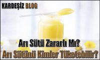 Arı Sütü Zararlı Mı