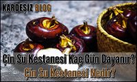 Çin Su Kestanesi Kaç Gün Dayanır