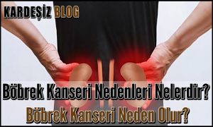 Böbrek Kanseri Nedenleri Nelerdir