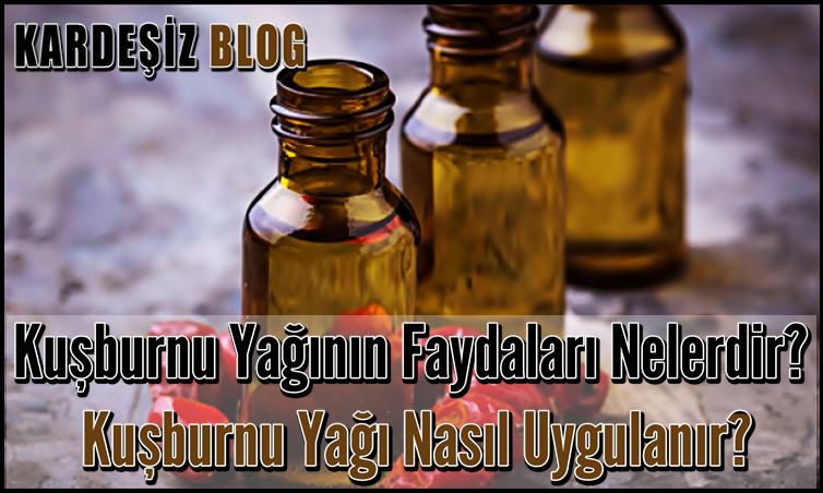 Kuşburnu Yağının Faydaları Nelerdir