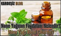 Nane Yağının Faydaları Nelerdir