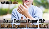 Stres Egzama Yapar Mı