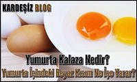 Yumurta Kalaza Nedir
