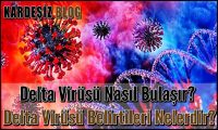 Delta Virüsü Nasıl Bulaşır