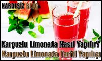 Karpuzlu Limonata Nasıl Yapılır