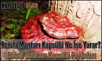 Reishi Mantarı Kapsülü Ne işe Yarar