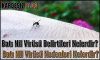 Batı Nil Virüsü Belirtileri Nelerdir
