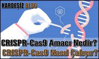 CRISPR-Cas9 Amacı Nedir