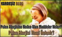 Polen Alerjisine Neden Olan Maddeler Neler