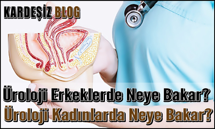 Üroloji Erkeklerde Neye Bakar