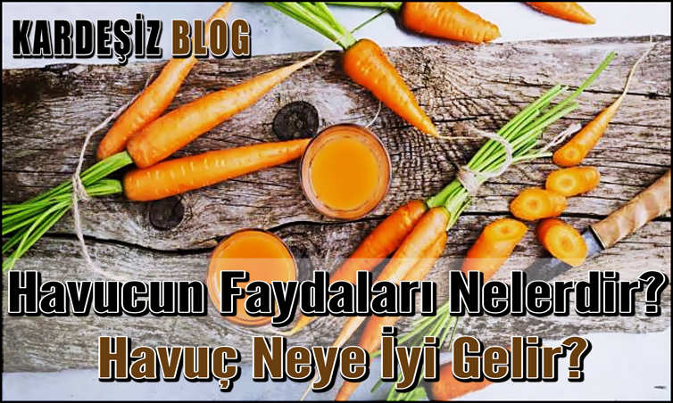 Havucun Faydaları Nelerdir