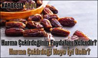 Hurma Çekirdeğinin Faydaları Nelerdir
