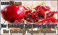 Nar Çekirdeği Yağı Neye iyi Gelir