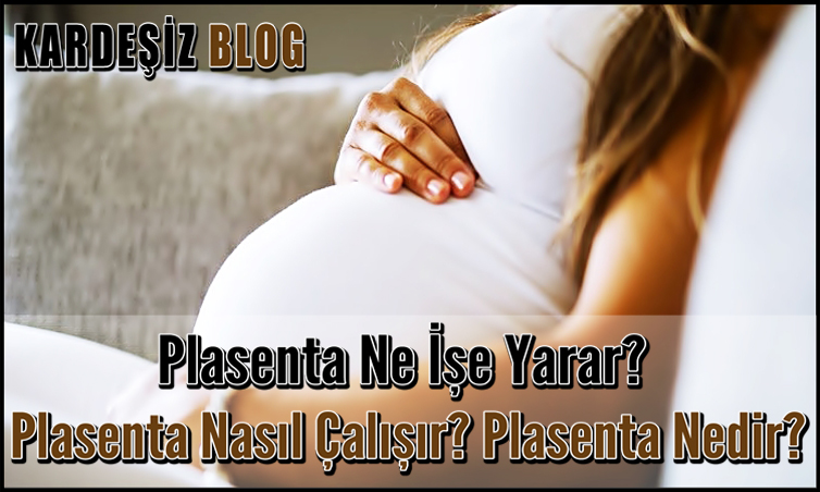 Plasenta Ne İşe Yarar
