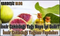incir Çekirdeği Yağı Neye iyi Gelir