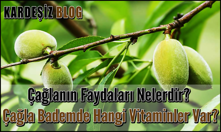 Çağlanın Faydaları Nelerdir