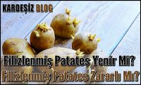 Filizlenmiş Patates Yenir Mi