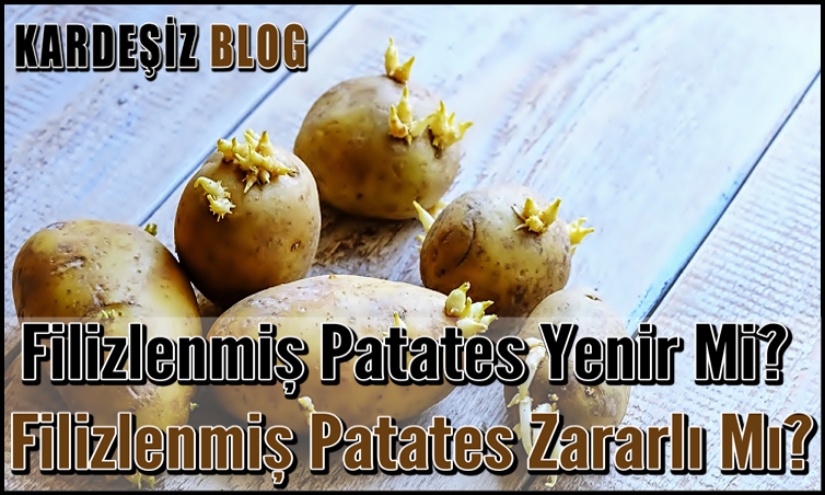 Filizlenmiş Patates Yenir Mi