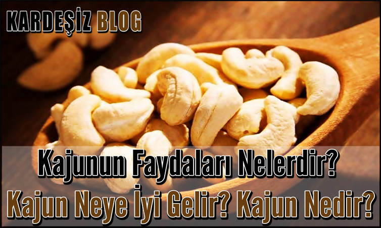 Kajunun Faydaları Nelerdir