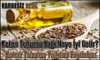 Keten Tohumu Yağı Neye iyi Gelir