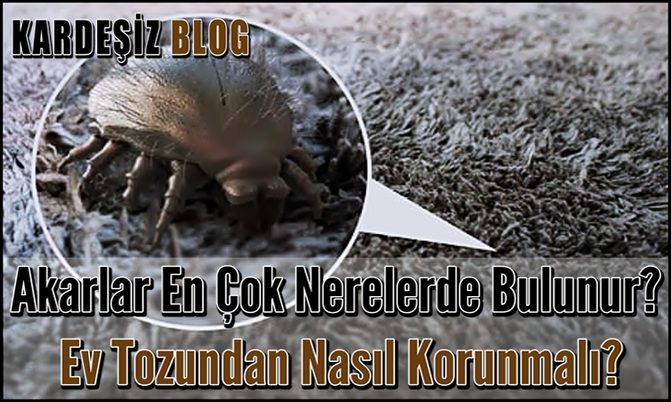 Akarlar En Çok Nerelerde Bulunur