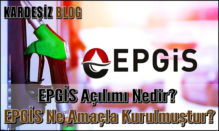 EPGiS Açılımı Nedir