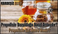 Propolisin Bozulduğu Nasıl Anlaşılır