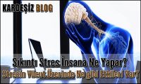 Sıkıntı Stres insana Ne Yapar