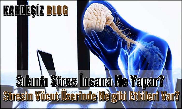Sıkıntı Stres insana Ne Yapar