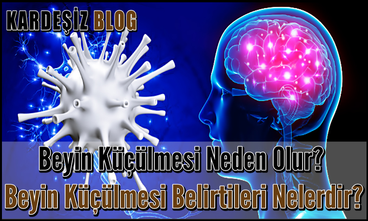 Beyin Küçülmesi Neden Olur