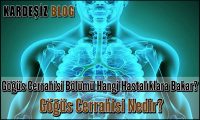Göğüs Cerrahisi Bölümü Hangi Hastalıklara Bakar
