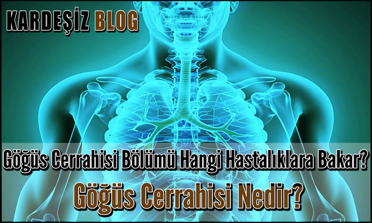 Göğüs Cerrahisi Bölümü Hangi Hastalıklara Bakar
