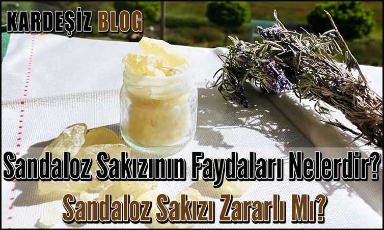 Sandaloz Sakızının Faydaları Nelerdir