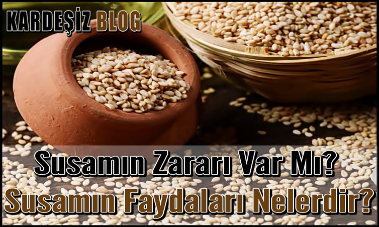 Susamın Zararı Var Mı