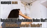 Rutubet Hangi Hastalıklara Neden Olur