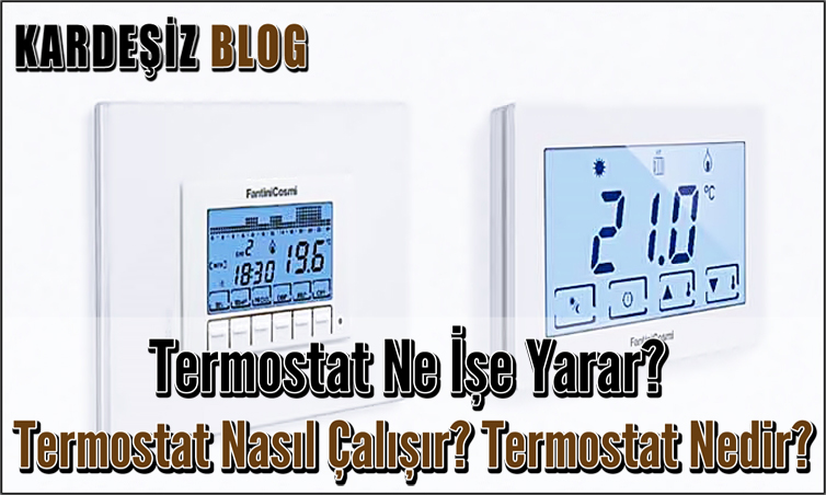 Termostat Ne işe Yarar