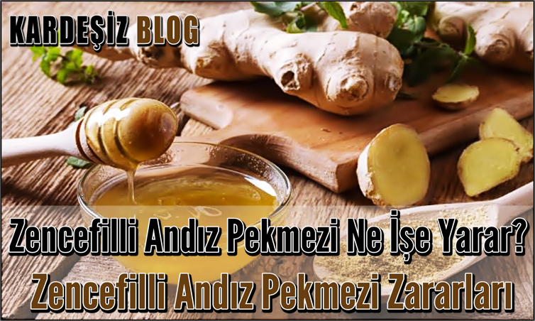Zencefilli Andız Pekmezi Ne işe Yarar