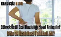 Böbrek Üstü Bezi Hastalığı Nasıl Anlaşılır