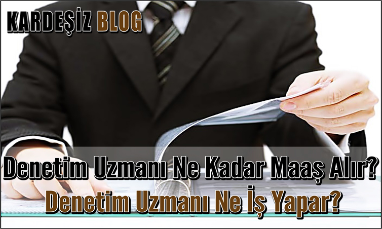 Denetim Uzmanı Ne Kadar Maaş Alır