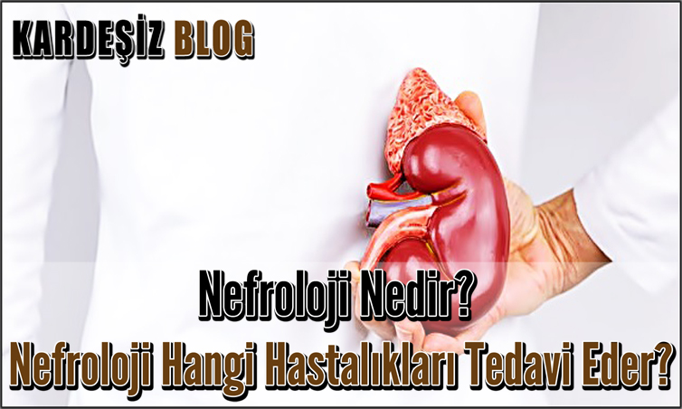 Nefroloji Nedir