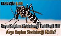 Asya Kaplan Sivrisineği Tehlikeli Mi