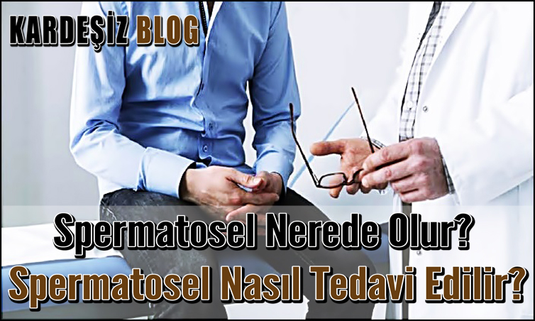 Spermatosel Nerede Olur