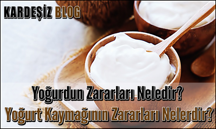 Yoğurdun Zararları Neledir