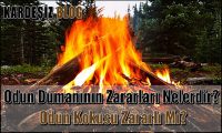 Odun Dumanının Zararları Nelerdir