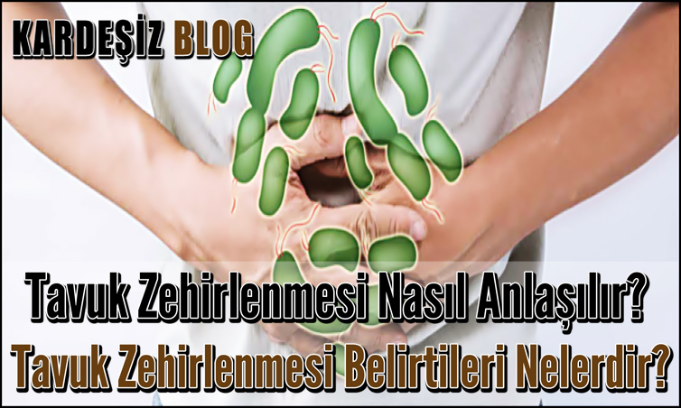 Tavuk Zehirlenmesi Nasıl Anlaşılır