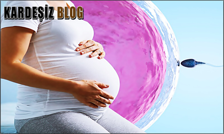 Estradiol Düşüklüğü iyileşir Mi